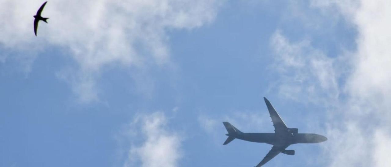 El Airbus militar se cruza, ayer, 
con una golondrina, sobre Vila 
de Cruces.   | // JOSÉ RAMÓN MOIRE