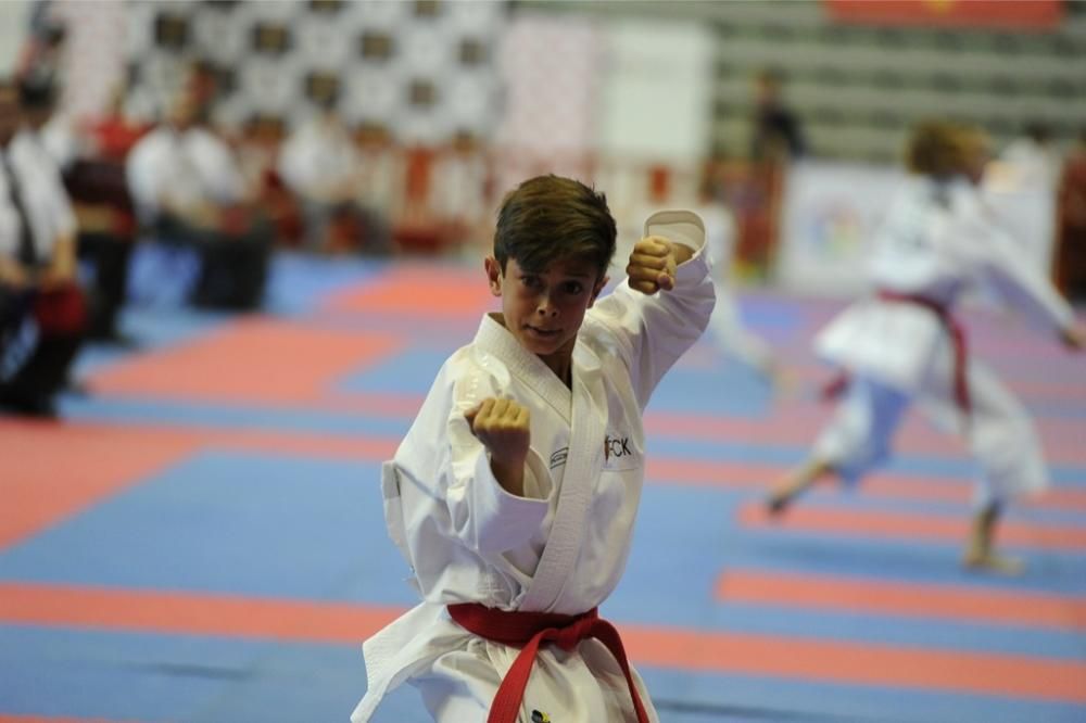 Campeonato de España de Karate en el Palacio de los Deportes