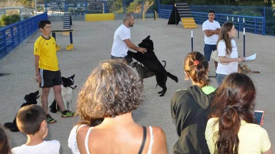 Inauguración del nuevo parque para perros en Arcade. // FdV