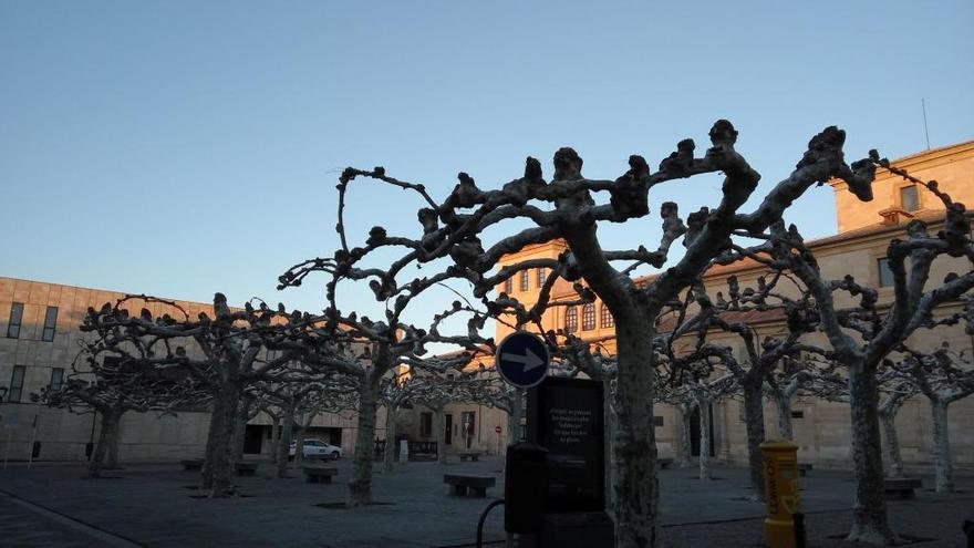 La plaza de Viriato a primera hora