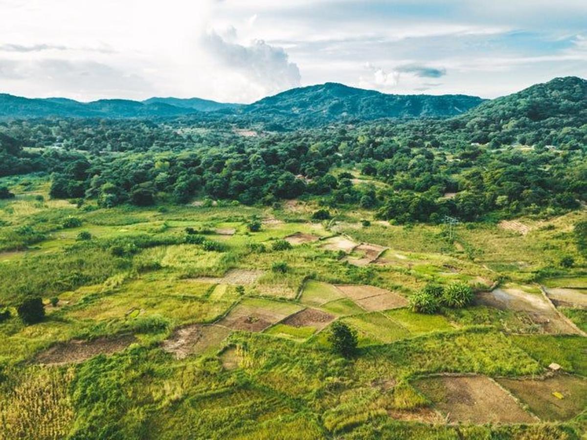 Países que acaban de anunciar casos de Covid-19: Malaui, África