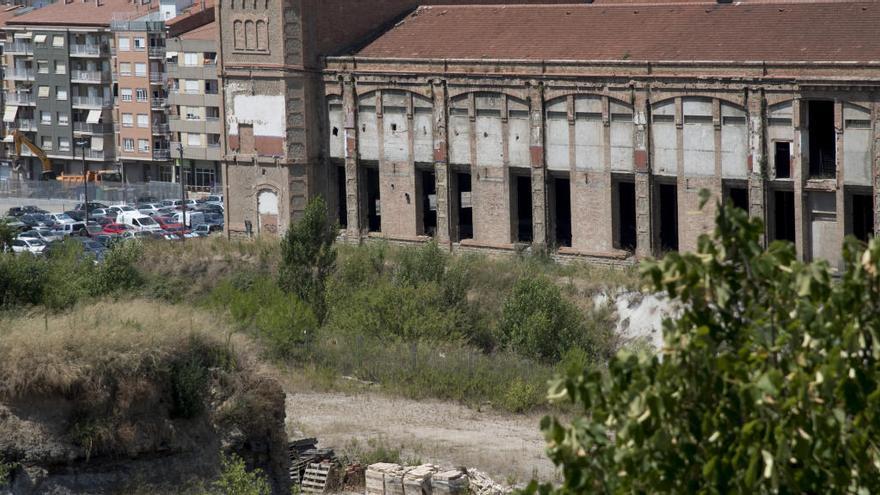 Arbres, matolls, canyes, pols i terra, i fins i tot material d&#039;obra abandonat, el paisatge de la Fàbrica Nova