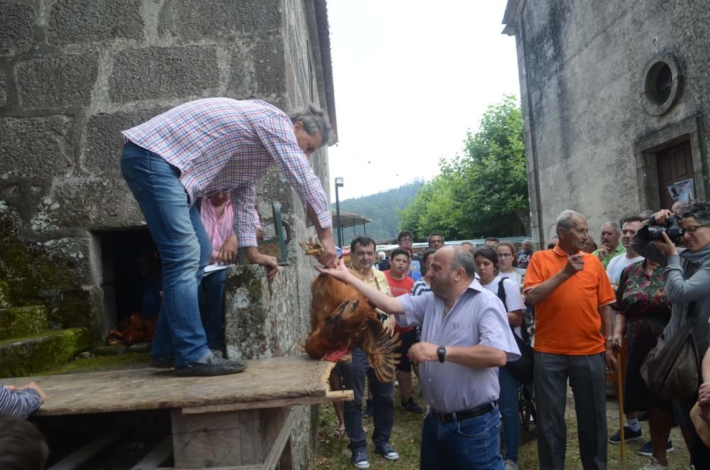 Meaño honra a San Benito // Noe Parga