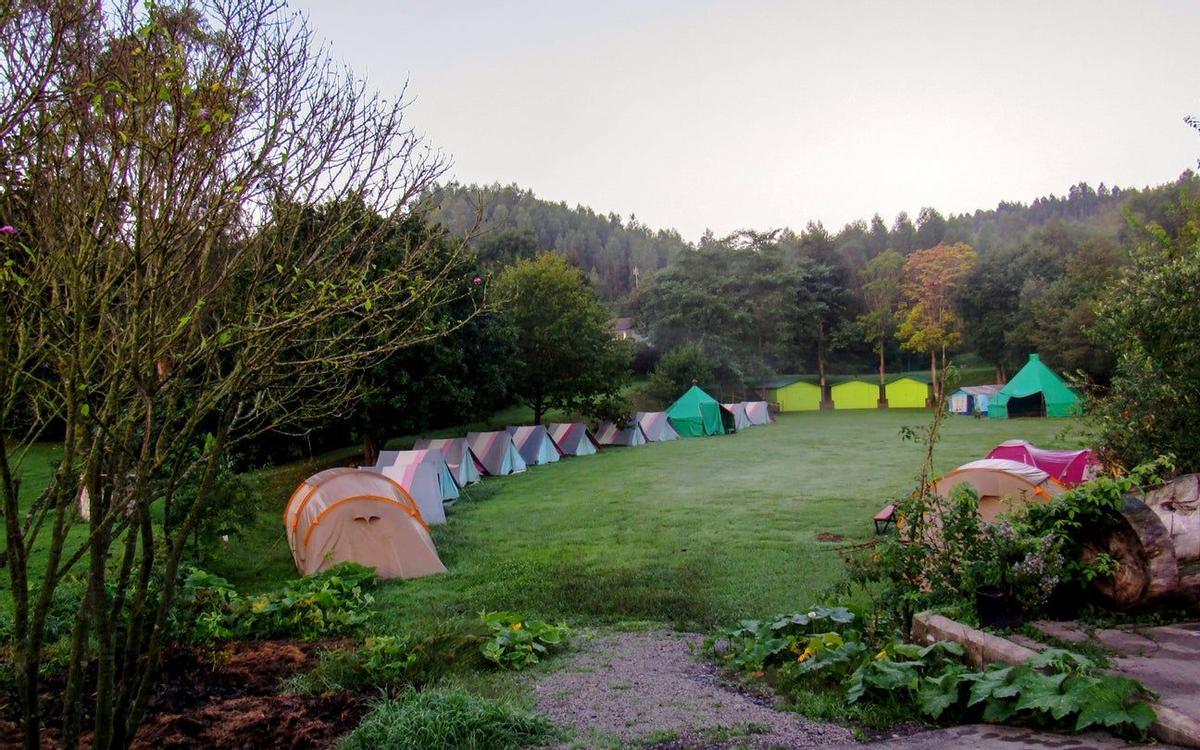 Mi primera compostela, camino de santiago, año xacobeo