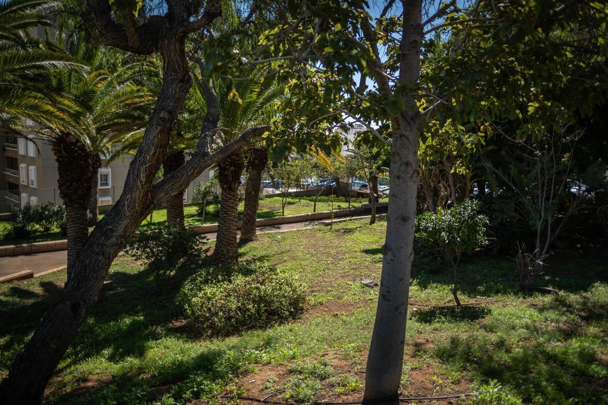 Jardines en el barrio de Cuesta Piedra.
