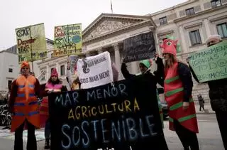 Espaldarazo del Congreso a la ILP del Mar Menor