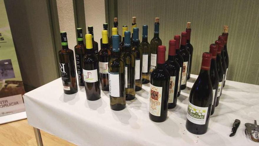 Botellas de vino de las distintas denominaciones de origen de la provincia de Ourense. // Iñaki Osorio