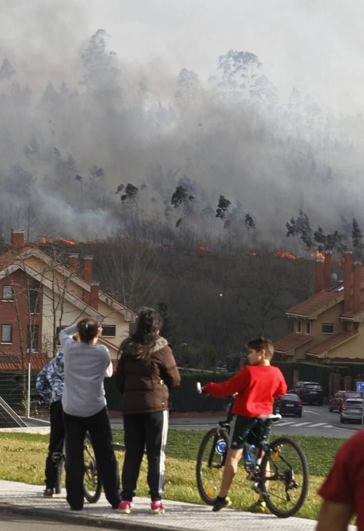 LNE OVIEDO