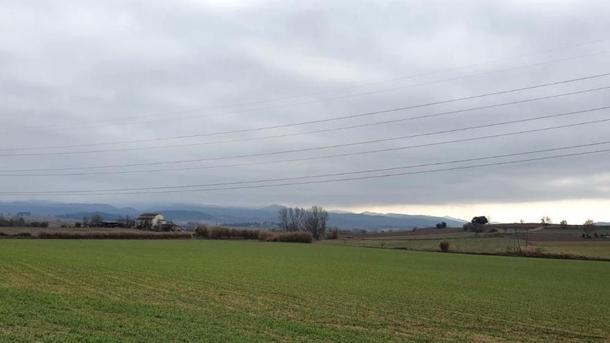 Camps a l&#039;entorn de Santpedor afectats per l&#039;avantprojecte