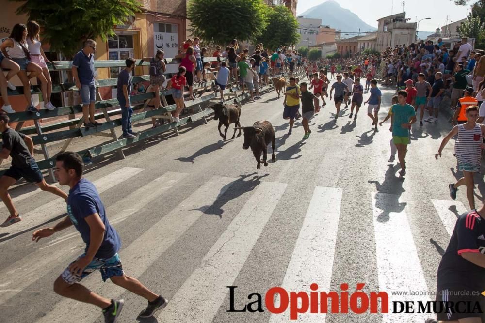 Encierro 'pequeño' en Calasparra