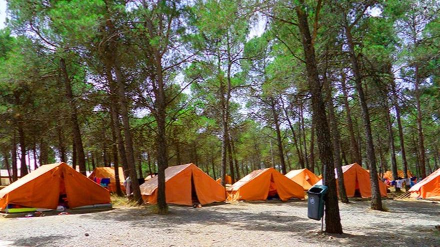 El PSOE de Benidorm propone ampliar el número de plazas en los futuros campamentos de verano