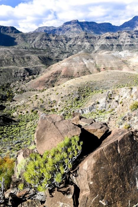 GRAN CANARIA 26-01-2019  SANTA LUCIA DE TIRAJANA-SAN BARTOLOME DE TIRAJANA. Fotos al macizo de Amurga. Fotos a los terrenos de la familia de Román comprados por el Cabildo.  FOTOS: JUAN CASTRO