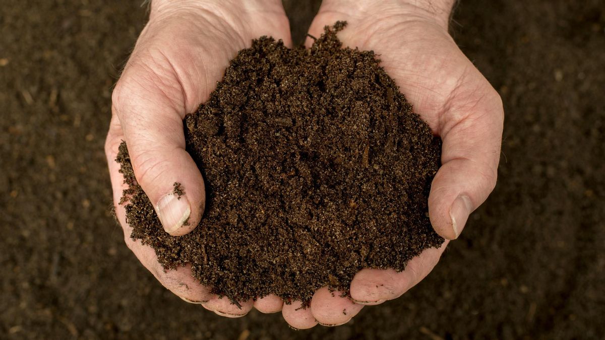 Del digerido producido durante el procesamiento del biometano se obtienen fertilizantes.