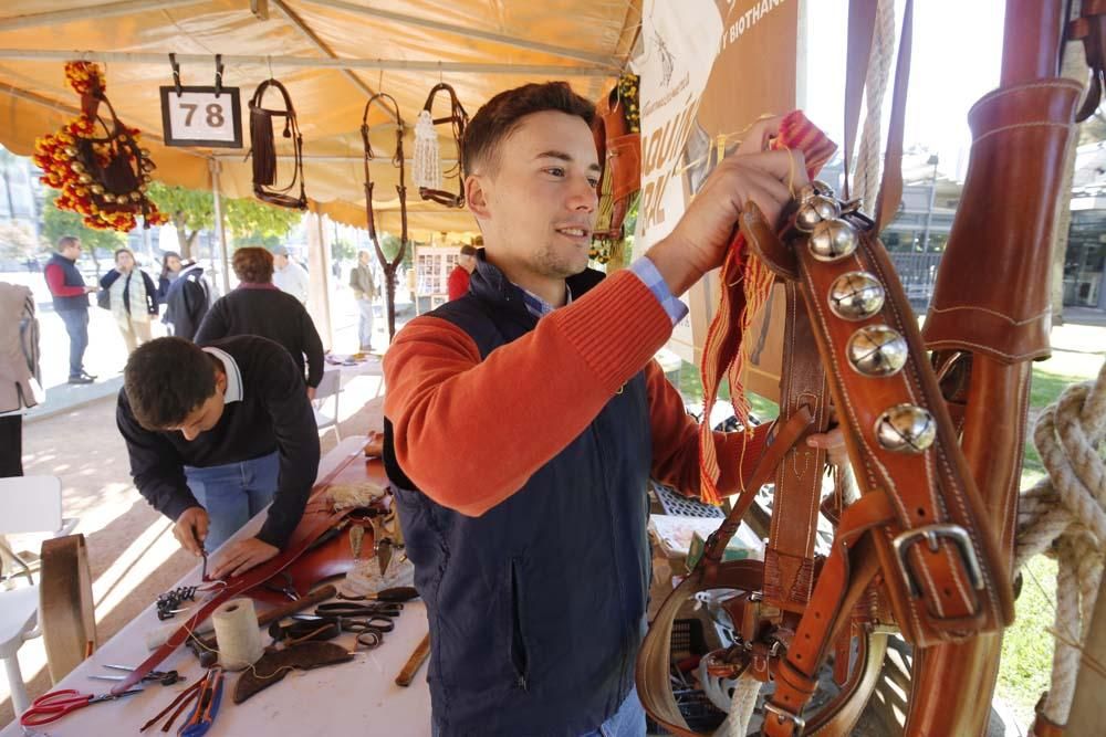 Fiesta de los oficios y tradiciones del caballo en Córdoba