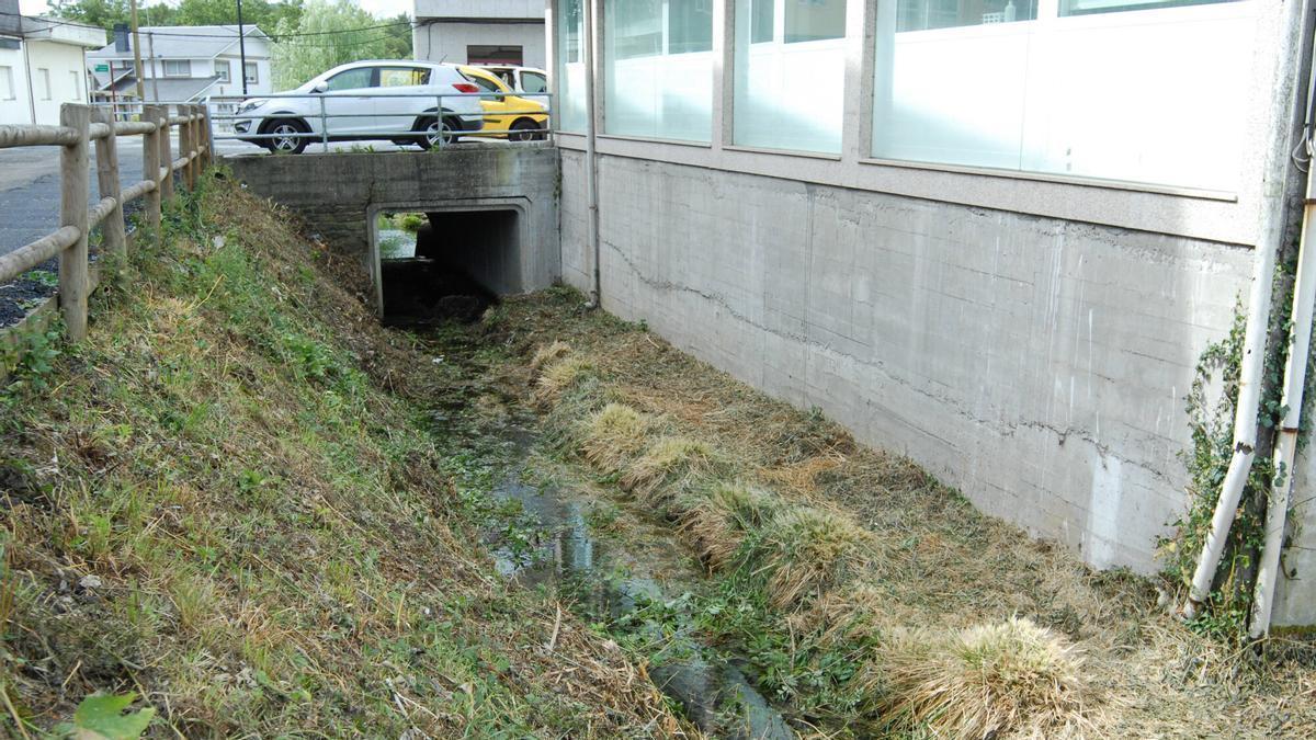 Suciedad en el Rego dos Valados tras los desbroces, en Rúa da Ponte.