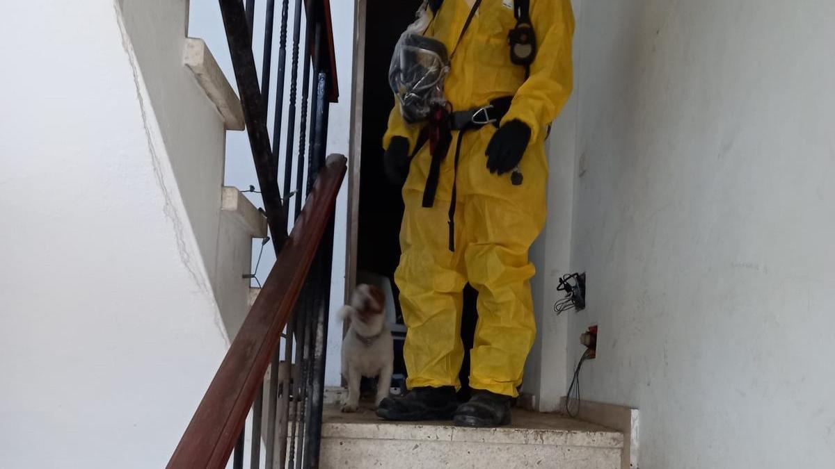 Uno de los bomberos junto al perro rescatado en la vivienda de Los Tarahales.