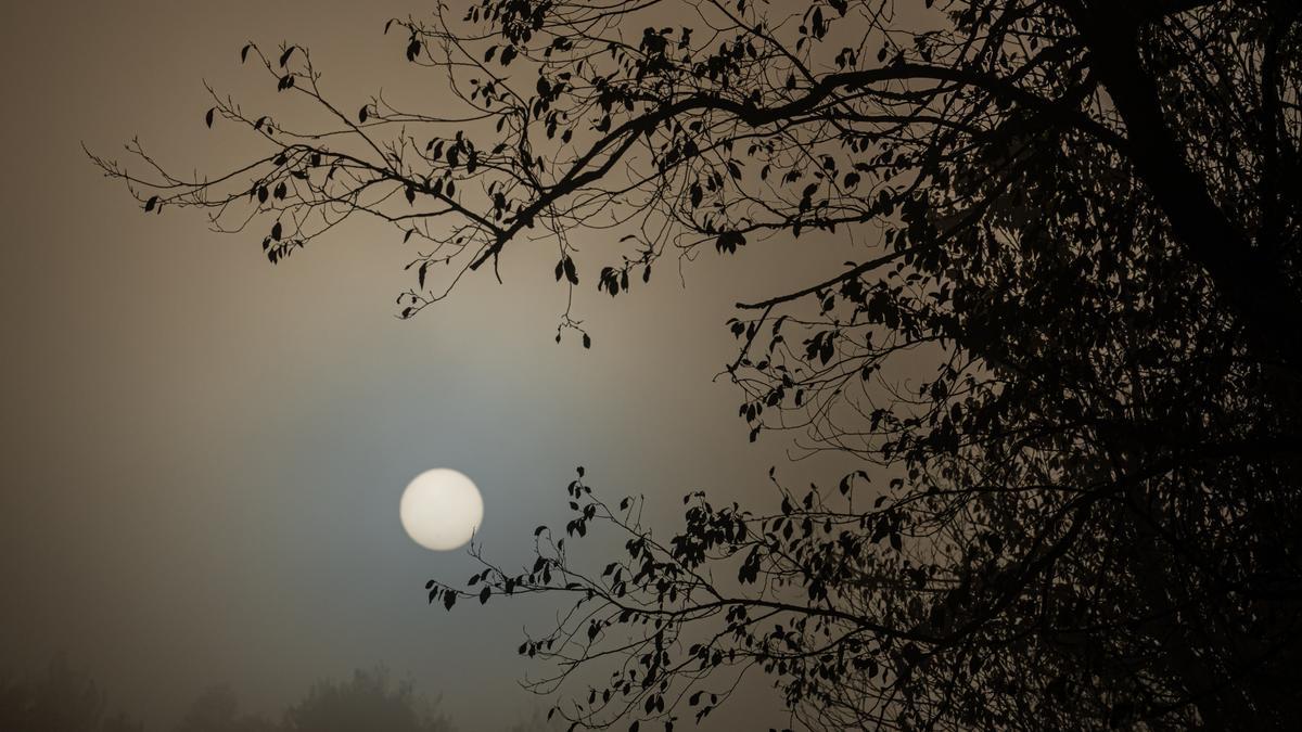 Quan el sol es baralla per sortir amb la boira espessa.