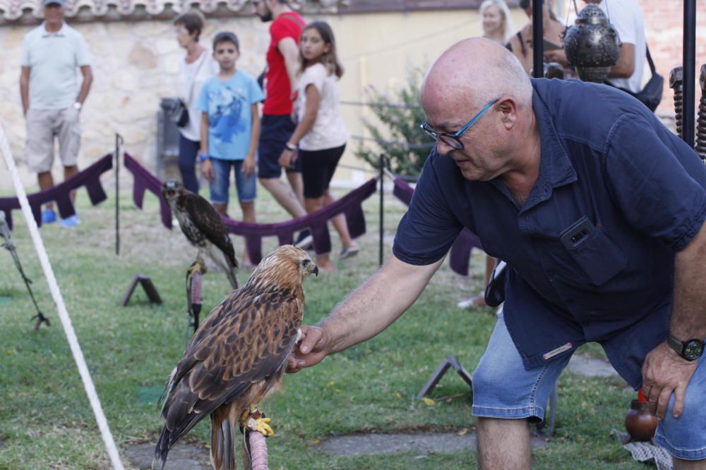 Mercat Medieval a Castell d’Aro