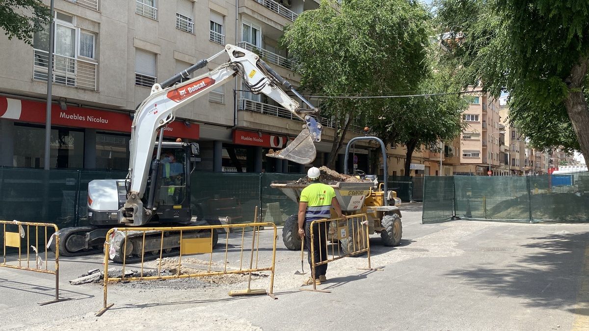 Las fotos de la tala masiva de árboles en las obras de la calle General Ricardo Ortega de Palma