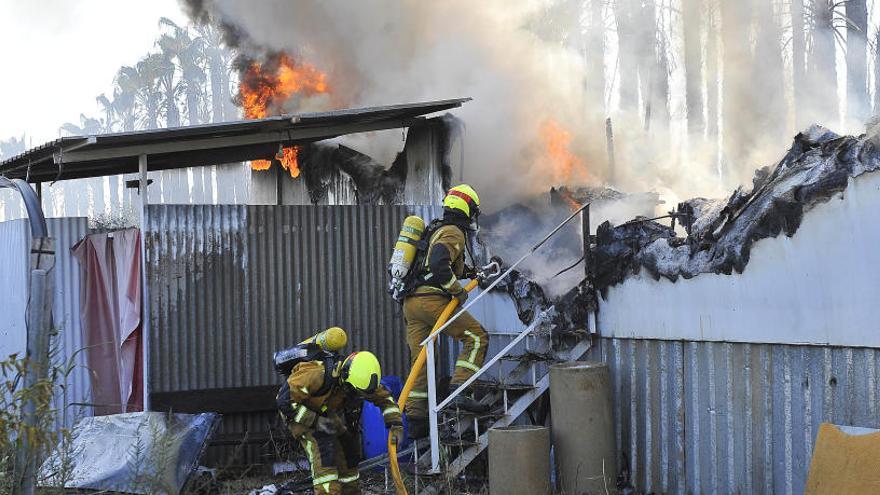 La Policía Local detiene al supuesto pirómano que provocó cuatro incendios de palmeras en Elche