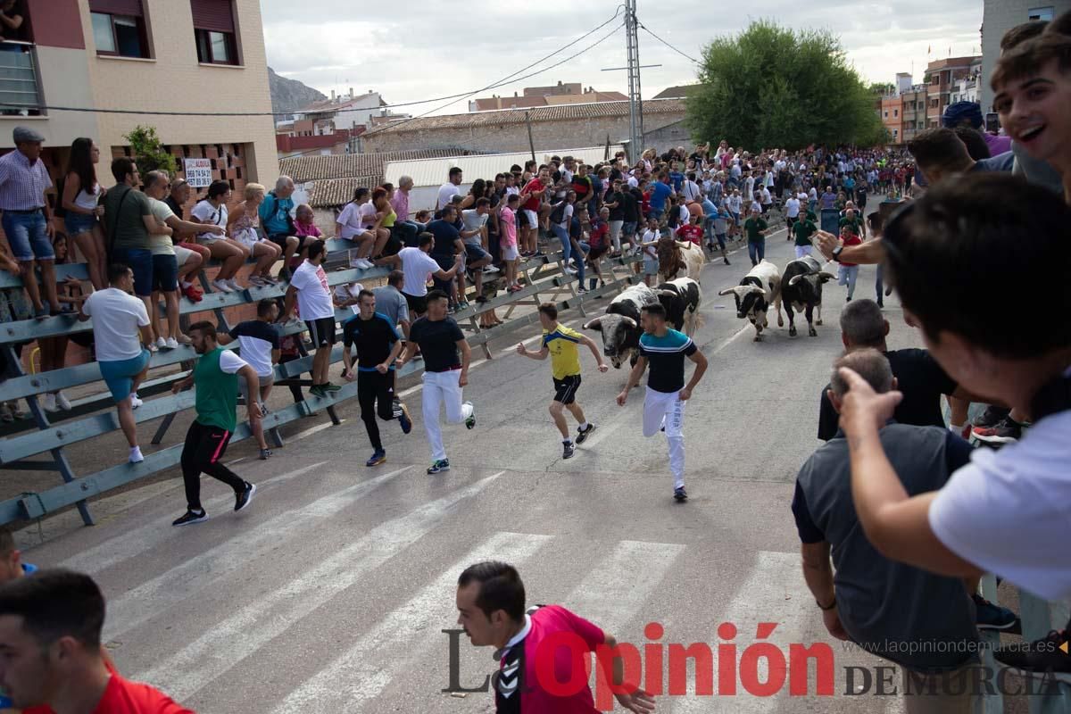 Primer encierro de la Feria del Arroz de Calasparra