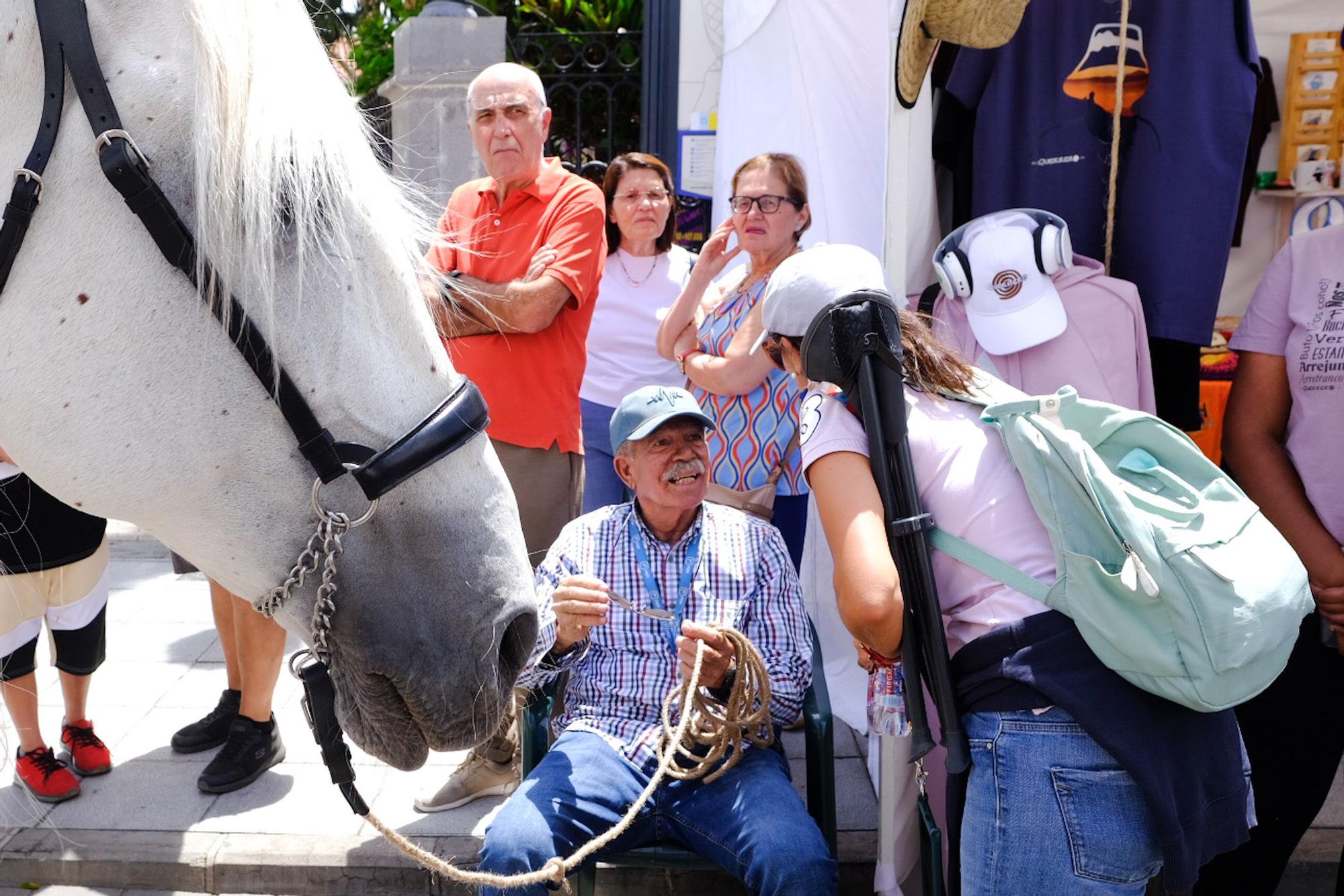 Fiesta de San Juan en Telde