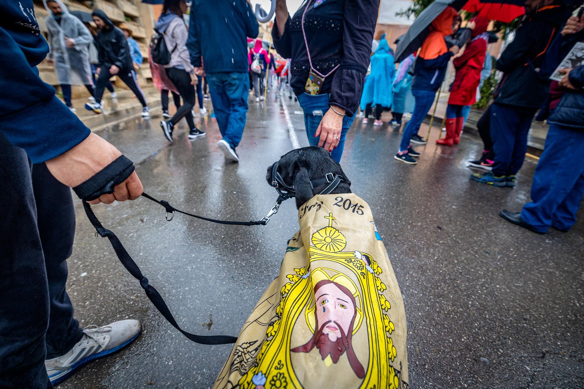 La Policía Local ha estimado una asistencia de cerca de cien mil peregrinos que han acudido a la Santa Faz. Un tercio de los 300.000, que siempre según el Ayuntamiento, hicieron la Santa Faz en 2019, la última edición antes de la pandemia.