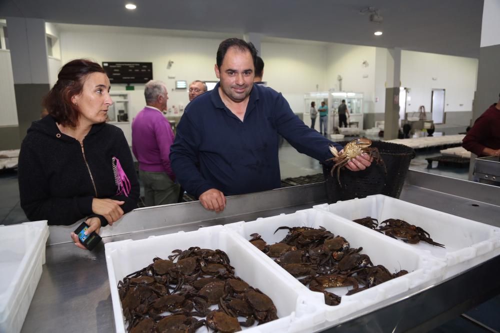 Capturas de bogavante y pulpo en O Grove // Miguel Muñiz