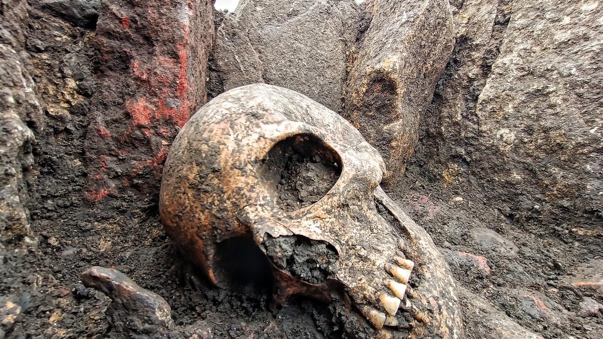 Cráneo de &quot;3.019&quot;, la mujer enterrada con un bebé hace más de diez siglos.
