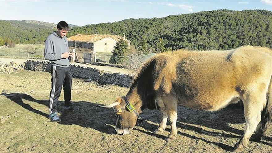 La provincia pierde más de un 70% del empleo agrario en tres décadas