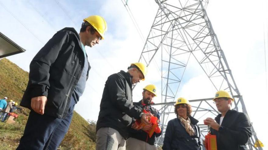 Dispositivos &quot;salvapájaros&quot; en las líneas de la sierra del Cuera