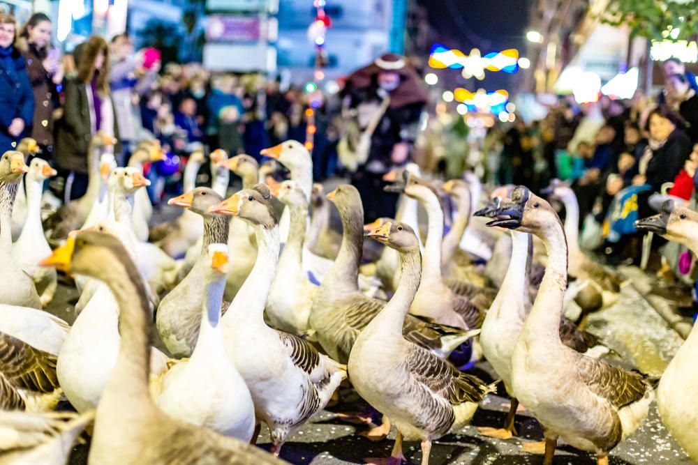 Benidorm aclama a los Reyes Magos.