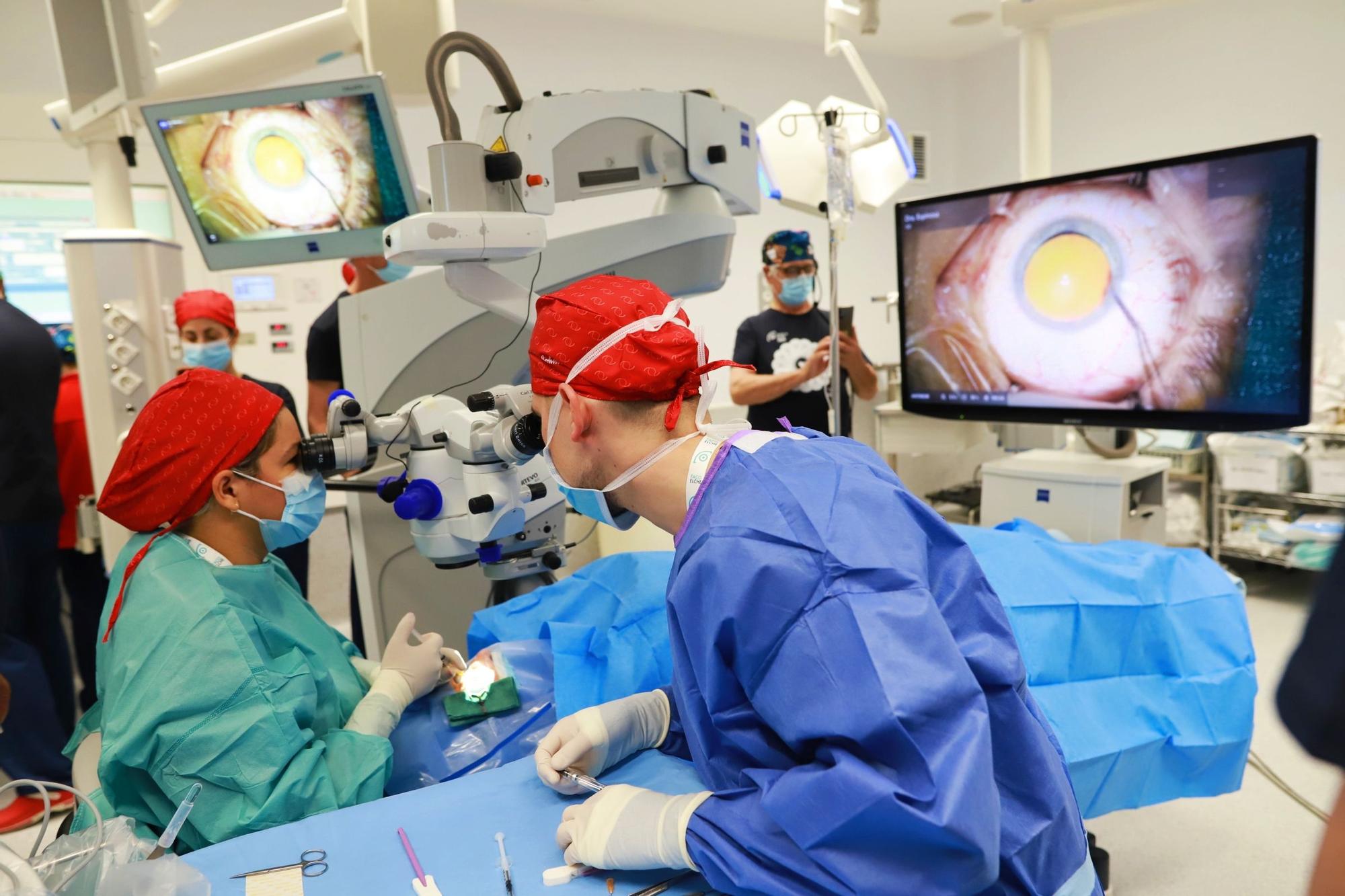 Faco Elche saca pulso con sus cirugías en directo desde el Hospital del Vinalopó