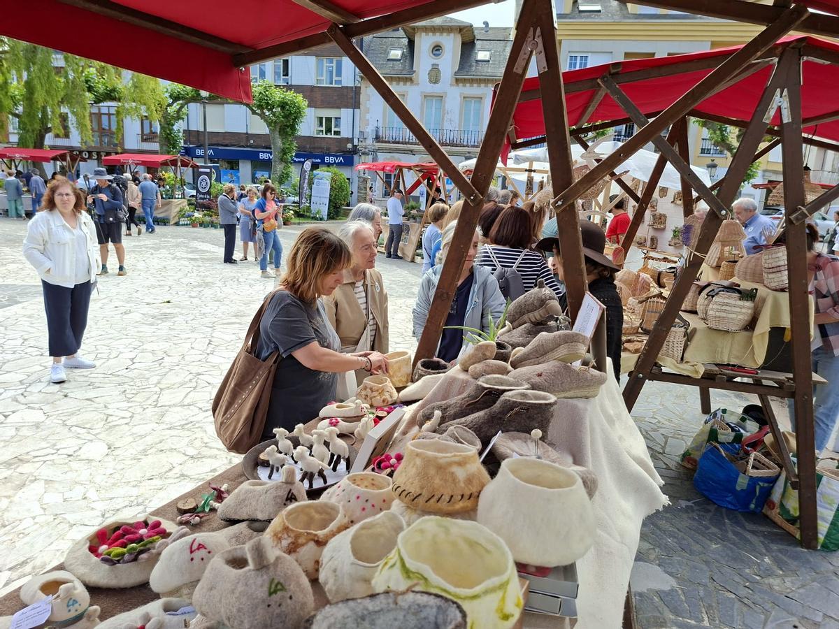En imágenes: La primera feria de jardinería del Occidente llena La Caridad de color y buen ambiente
