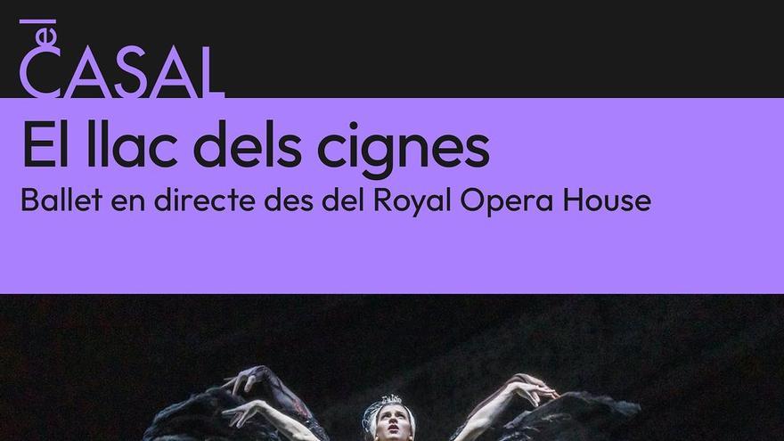 Ballet: El Llac dels Signes