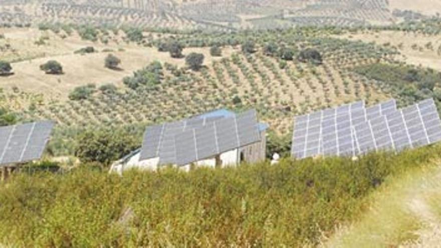 La Junta estudia recurrir en el Constitucional la reducción de las primas a las plantas fotovoltaicas