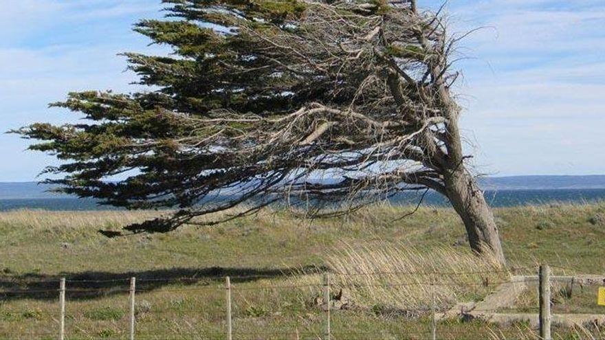 El viento alcanza los 92 kilómetros por hora en dos municipios de Castellón