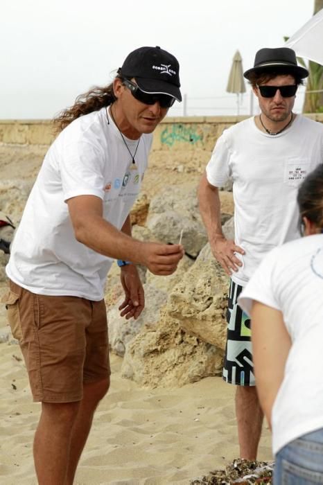 Immer mehr Plastik vermüllt das Meer vor der Küste. Die Kampagne "I Care" ermuntert zum Umdenken.