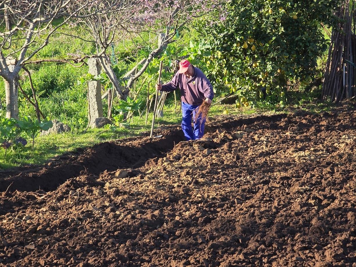 Arousanos aprovechando el buen tiempo para preparar sus tierras de cultivo.