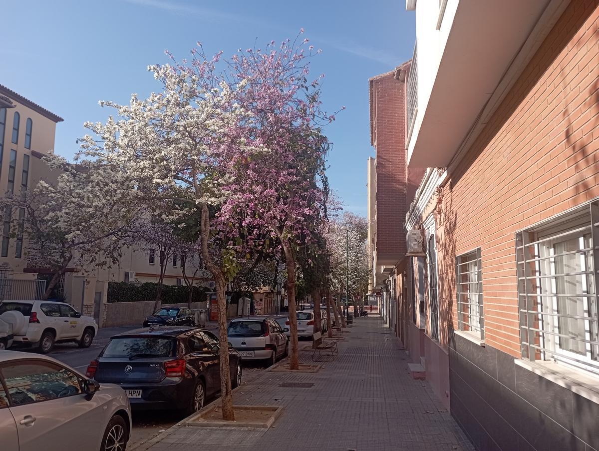 Otra vista de la calle.