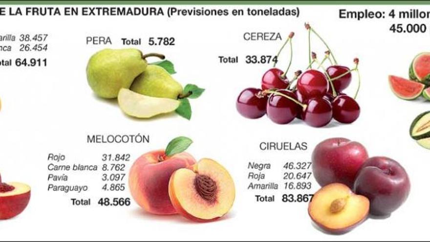 La campaña de la fruta en Extremadura prevé 45.000 contrataciones y 250.000 toneladas
