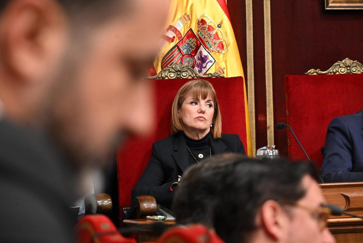 La portavoz de Vox, Aurora Rodil, en el pleno de este lunes.