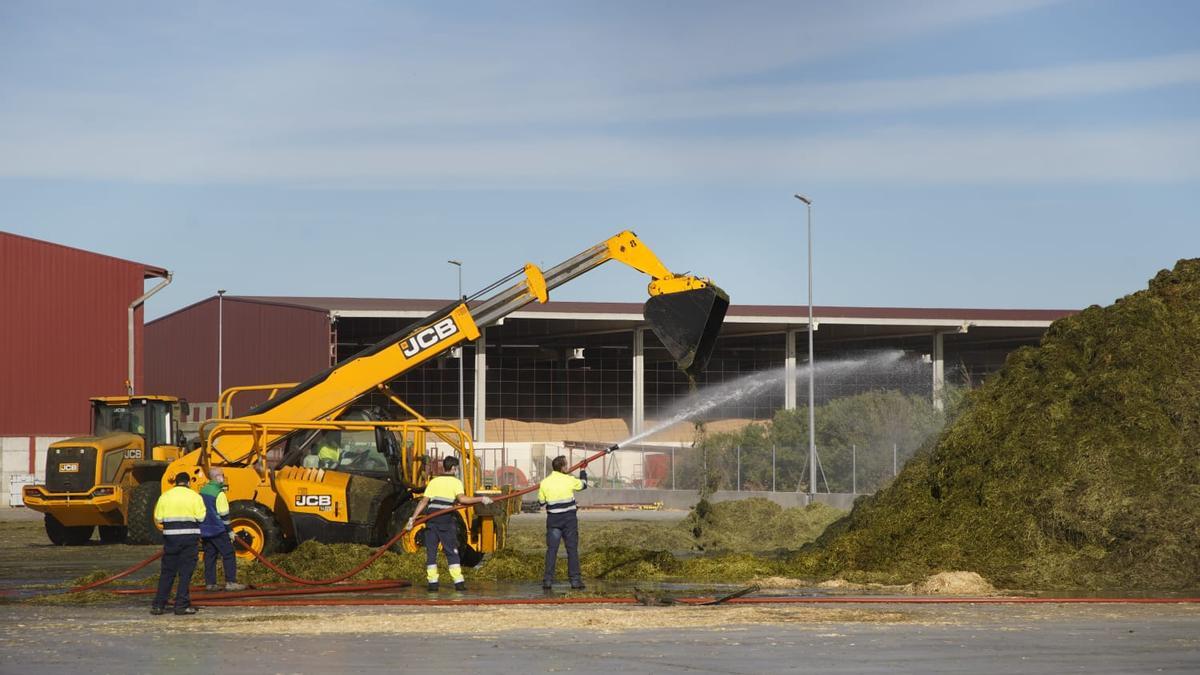 Refrescan la alfalfa de Cobadu para evitar posibles reproducciones del incendio.