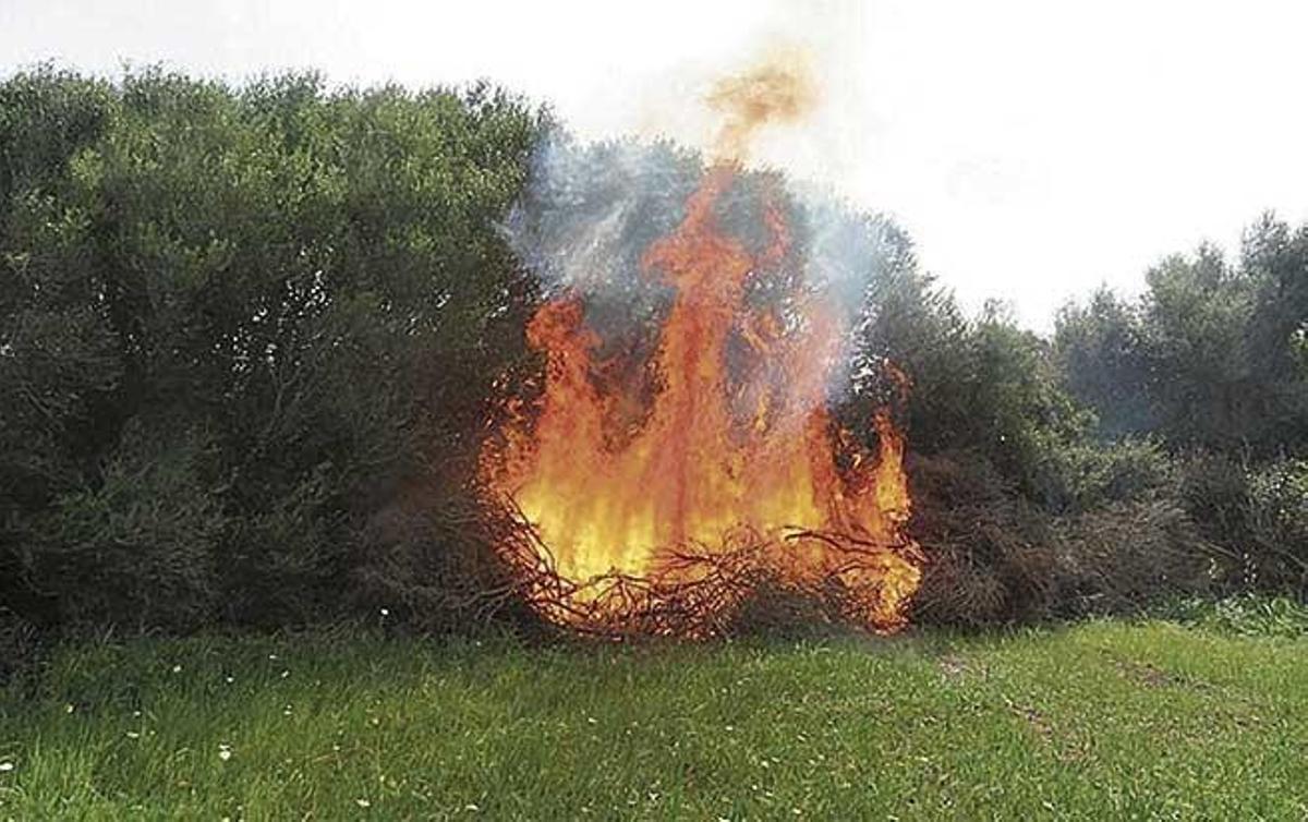Investigan a dos personas por un incendio en Menorca