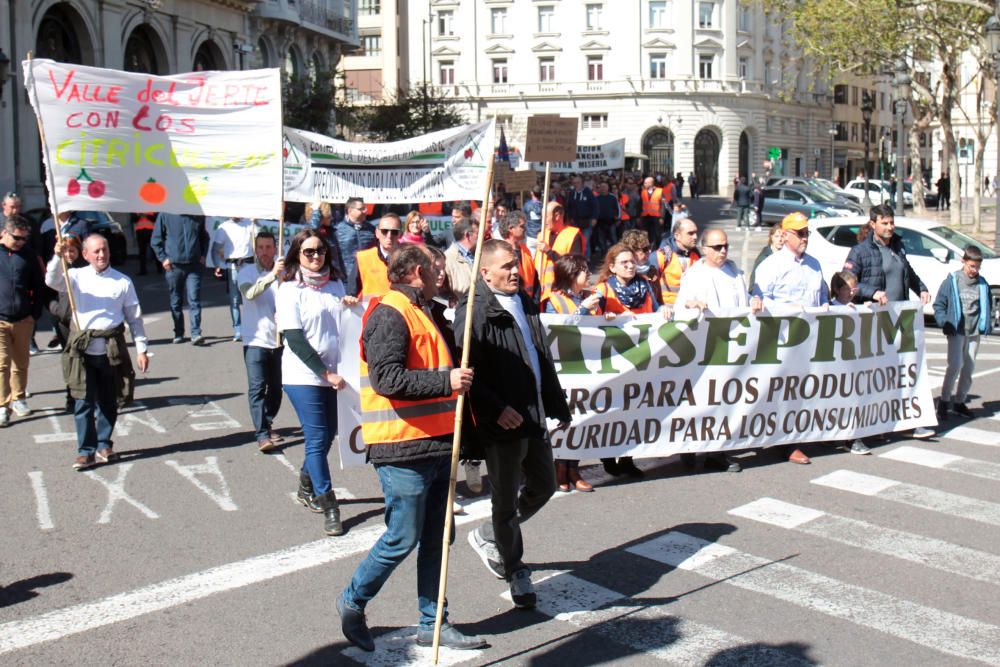 Manifestación en defensa del sector citrícola