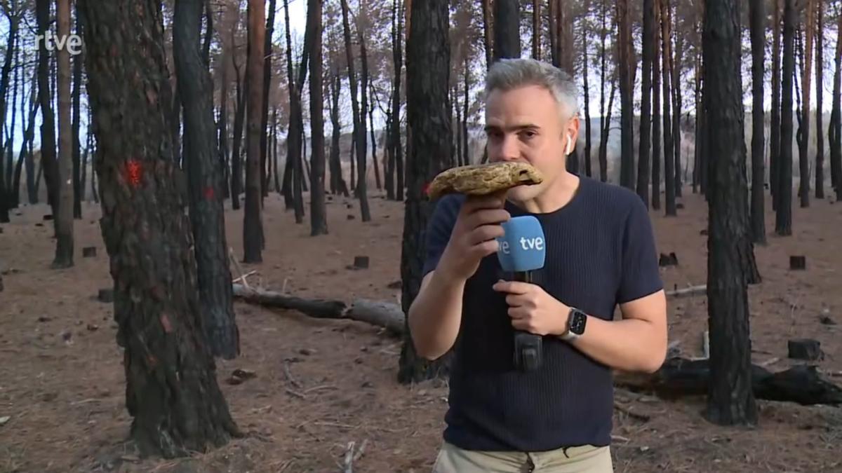 El programa &#039;Aquí la Tierra&#039; se hace eco del plan &quot;Refosetas&quot;.