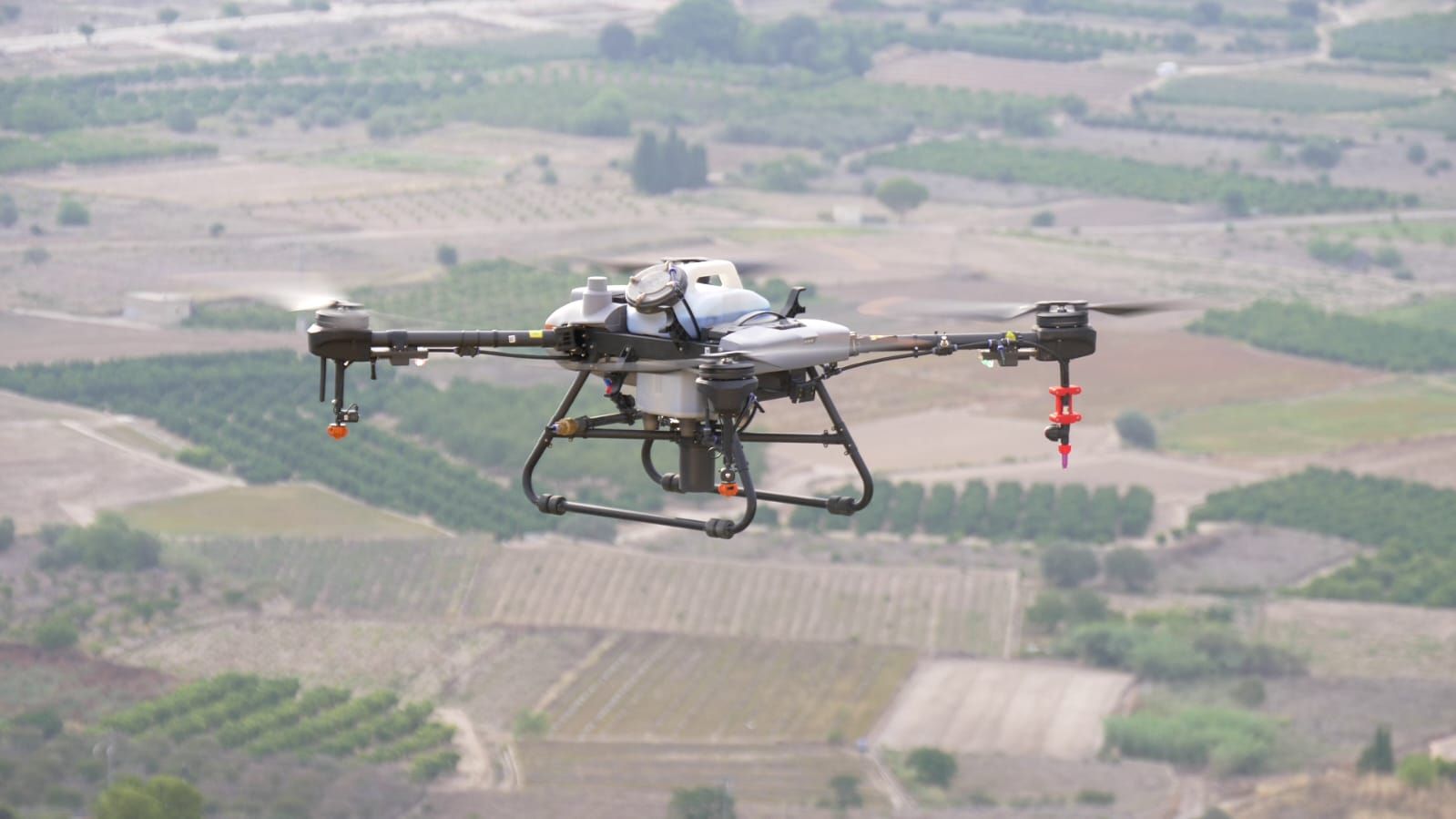 Llíria utiliza drones para erradicar un cactus invasor en el paraje de Sant Miquel