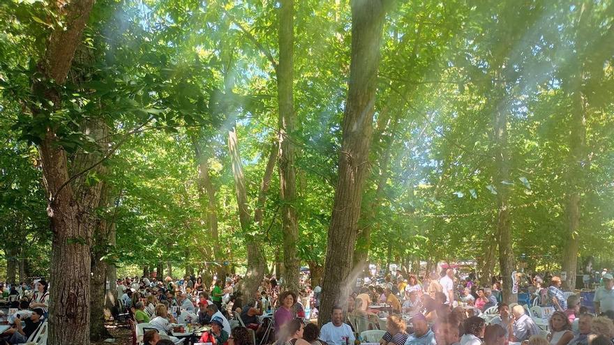 Adisbismur servirá este sábado en Outes 1.500 raciones de callos en su fiesta benéfica