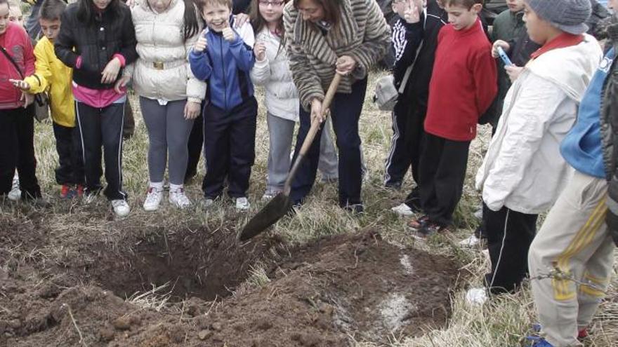 La concejala de Educación, Inmaculada González, toma la pala para ayudar a varios niños de quinto de Primaria durante la plantación de árboles, ayer, en la cima del Naranco. Detrás, el concejal José Ramón Pando. | luisma murias