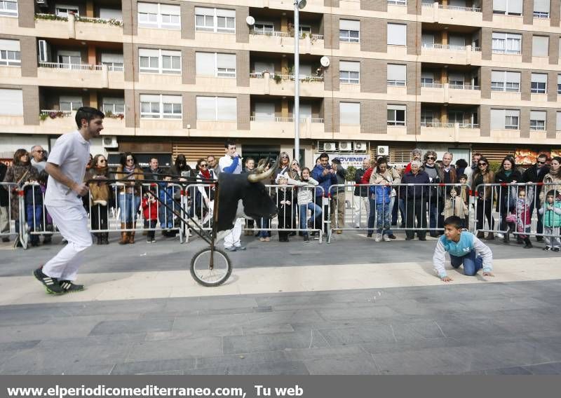 GALERÍA DE FOTOS -- Demostración de recortadores en Almassora